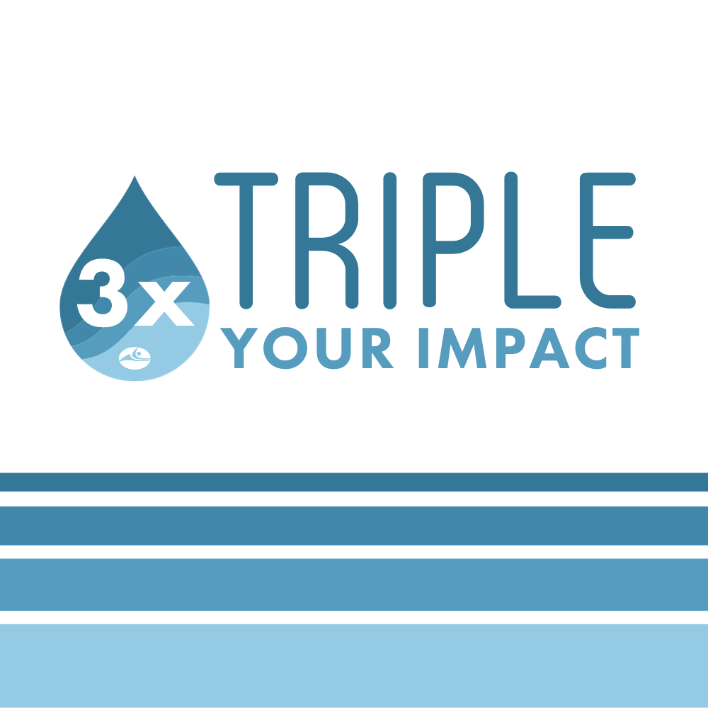 Triple Your Impact