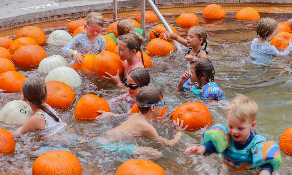 Young kids search for their pumpkin in the pool filled with 100+ floating pumpkins.